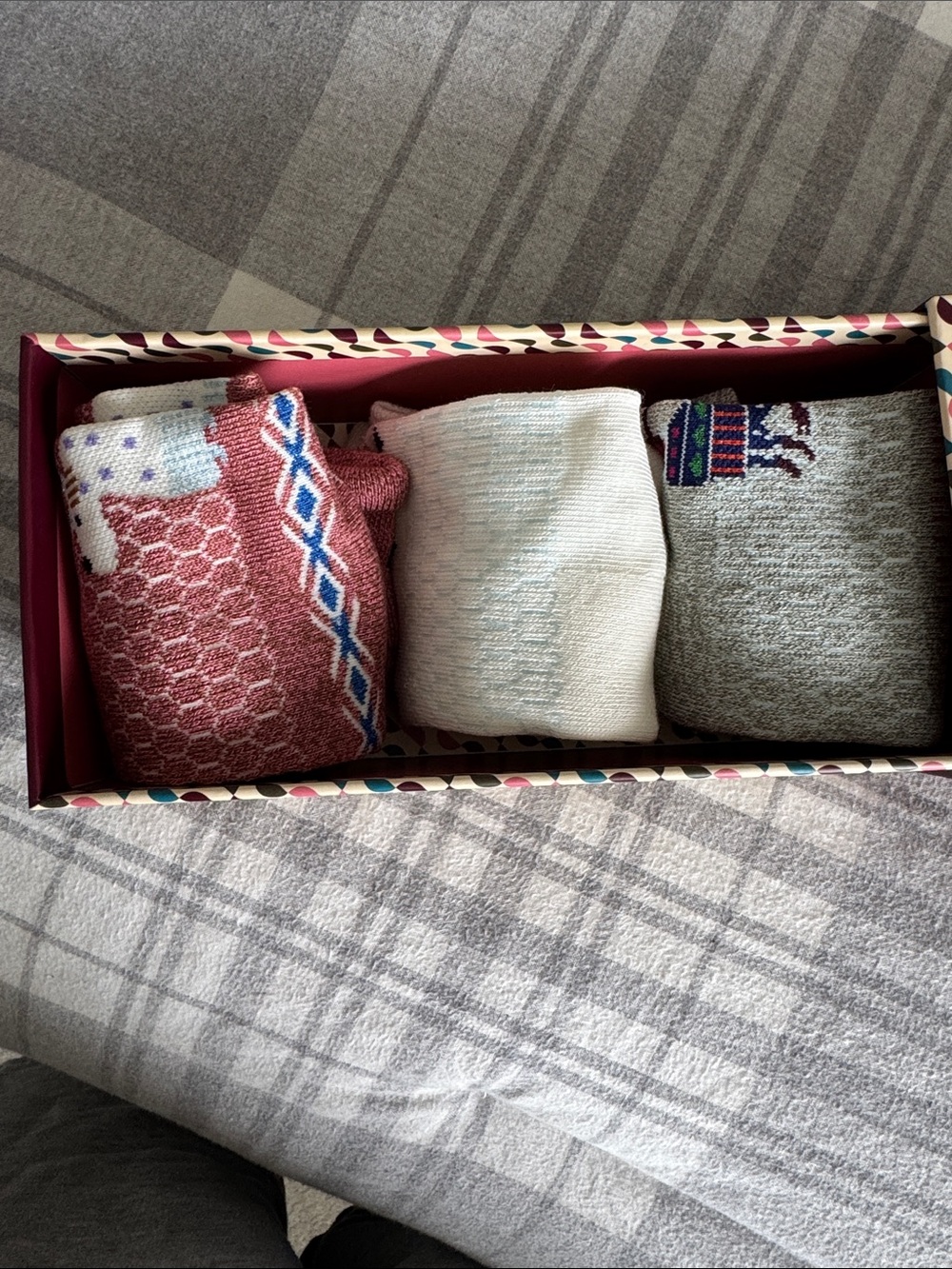 Bombas Boxed Gift Set - Picture 2 of 5